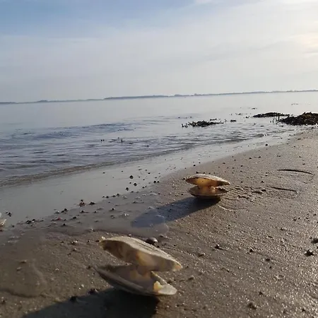 Strandappartement Steinberghaff 